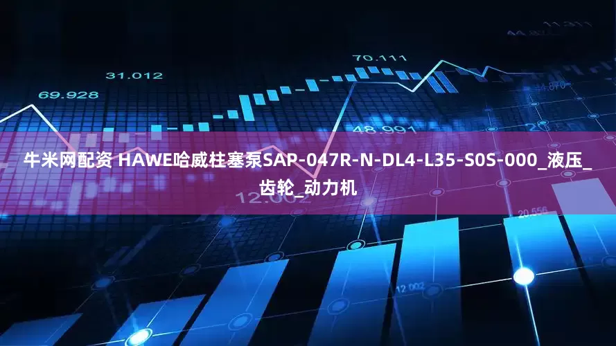 牛米网配资 HAWE哈威柱塞泵SAP-047R-N-DL4-L35-S0S-000_液压_齿轮_动力机