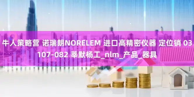 牛人策略营 诺瑞朗NORELEM 进口高精密仪器 定位销 03107-082 莘默杨工_nlm_产品_器具