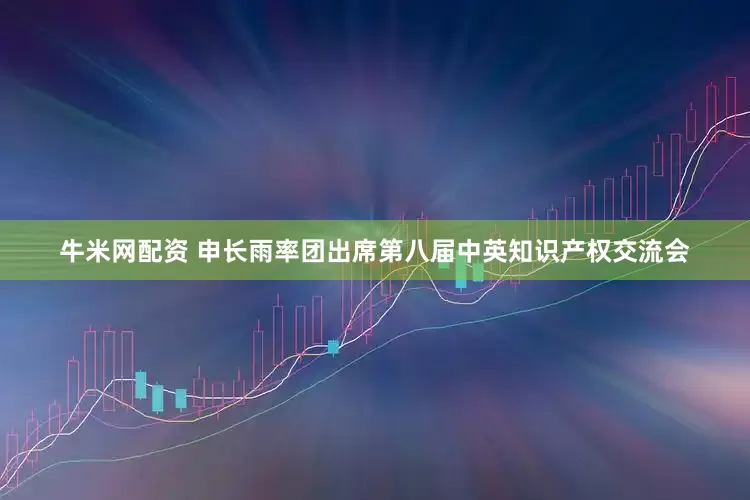 牛米网配资 申长雨率团出席第八届中英知识产权交流会