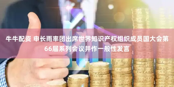 牛牛配资 申长雨率团出席世界知识产权组织成员国大会第66届系列会议并作一般性发言