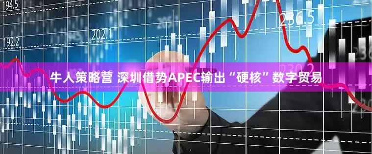 牛人策略营 深圳借势APEC输出“硬核”数字贸易